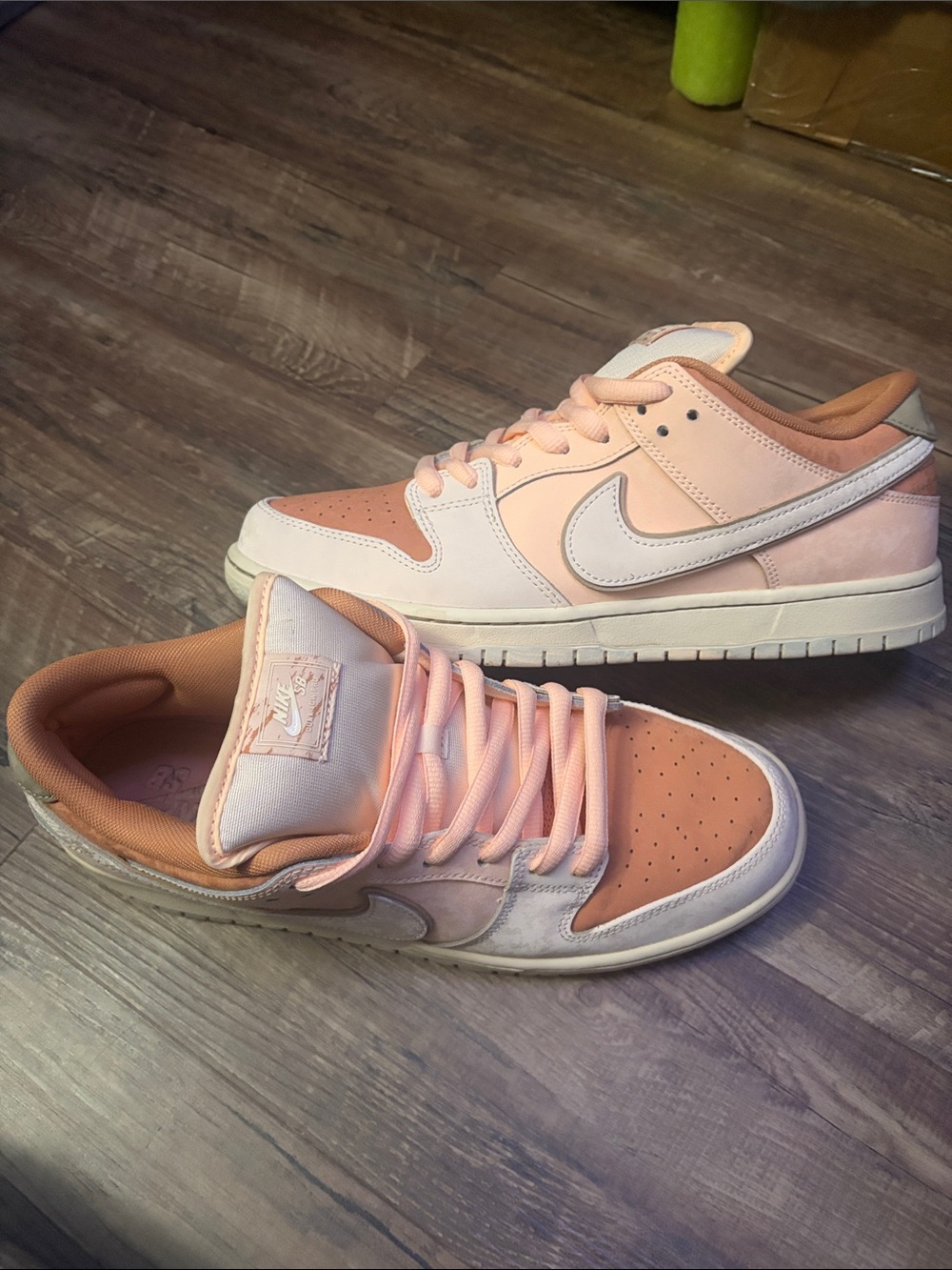 Nike Men’s Dunk low Pro Skate Low-Top Sneakers Peach and White Trocadero Garden